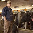 why buy the cow  