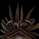 Tooth and Nail