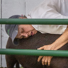 The Kentucky Farmer