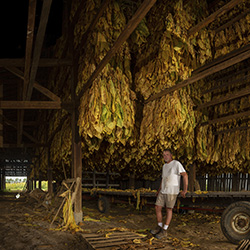 The Kentucky Farmer